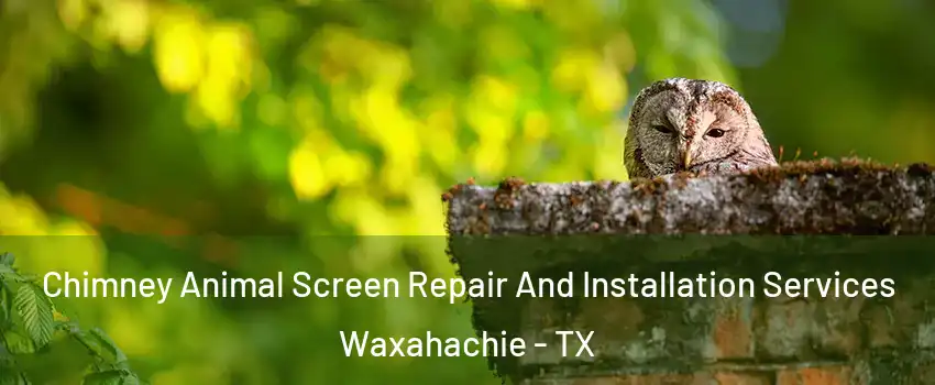  Chimney Animal Screen Repair And Installation Services Waxahachie - TX