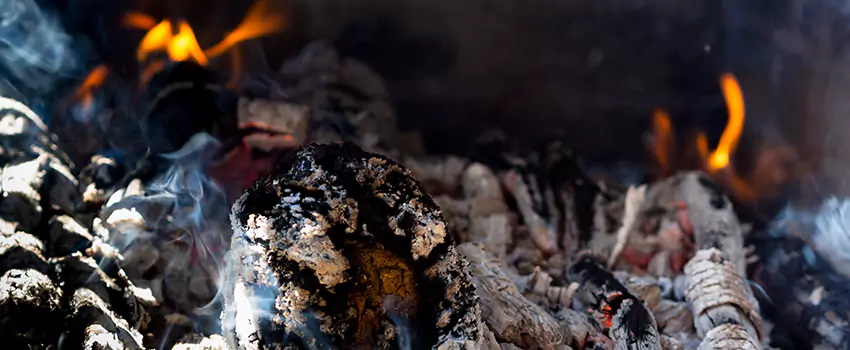 Creosote Removal Experts in Waxahachie, TX